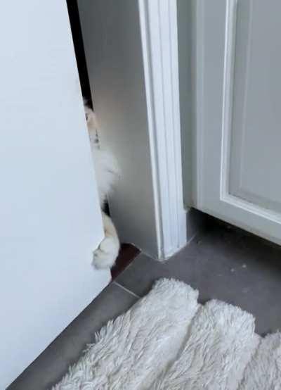 The trill of satisfaction from opening the door to the bathroom where I’m at…