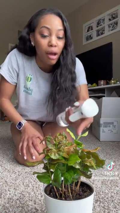 I saw this on tiktok and wanted to share. :)