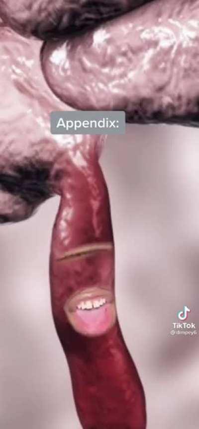 Just thought this belonged here