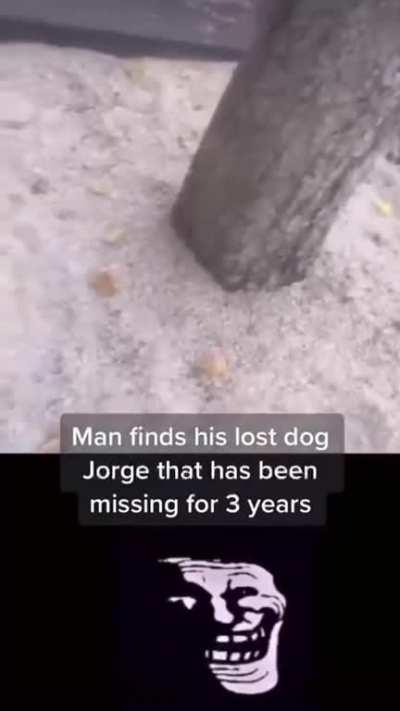 enough to make a grown man cry ;(