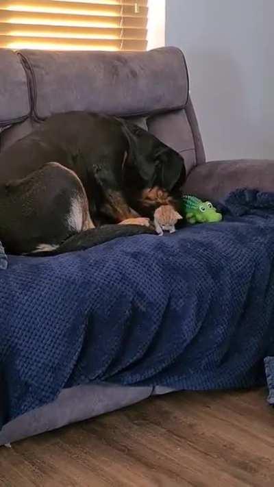 This is her baby now