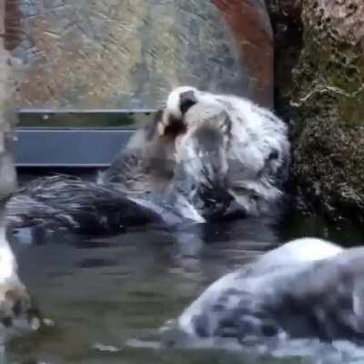 Getting nice and clean