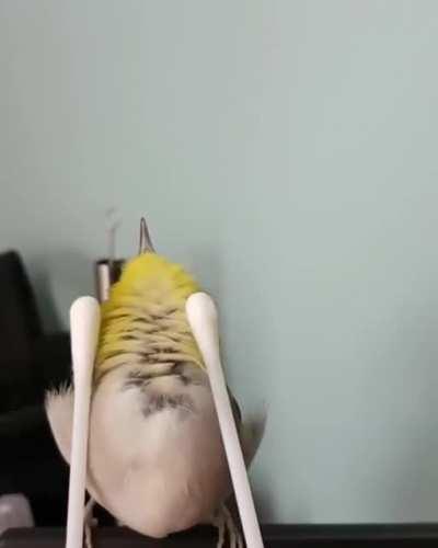 Vielleicht etwas ZU tiefenentspannt 🥰