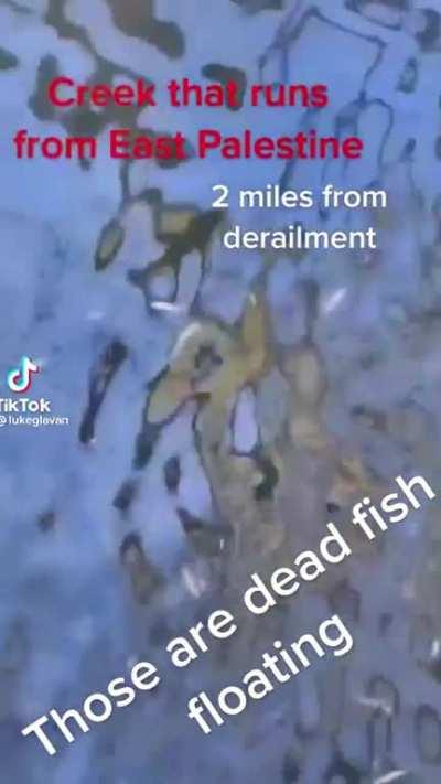 Train explosion poisoning the air in Northeast Ohio