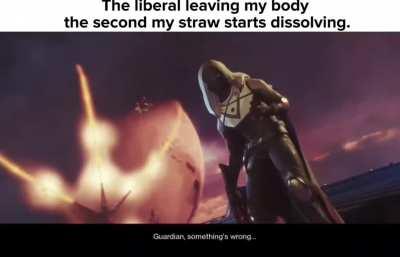 Should have bought a metal one