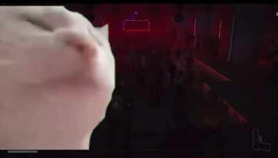 How I felt playing Berlin for the first time