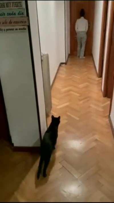 The most adorable sneak attack.