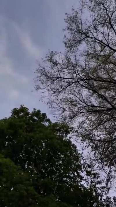 I guess he didn't learn the first time...