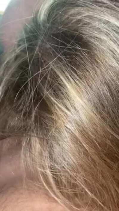 Sucking a bull while hubby’s at work 🤤