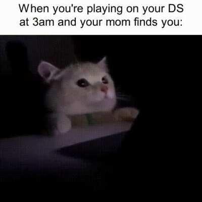 I guess i'll just shit my pants