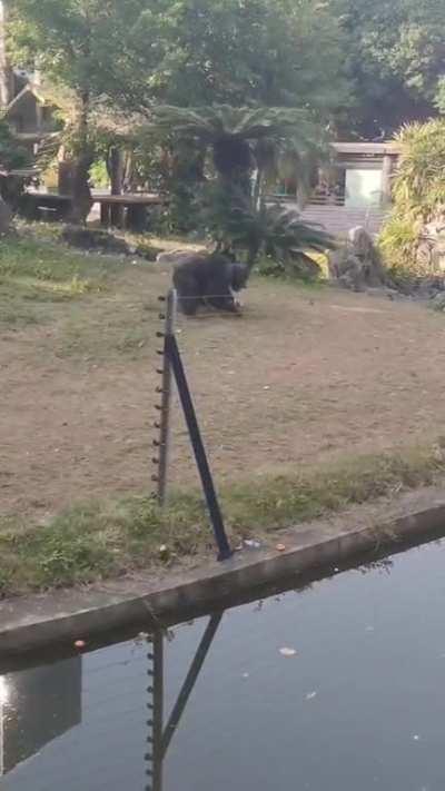 Pepsi fans be like..