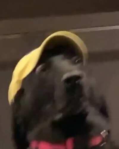 When the family argues during Thanksgiving dinner