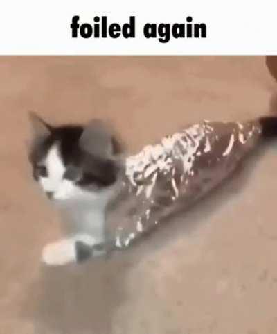 What is this font? I looked online and it said Proxima Nova but it doesn't look like it