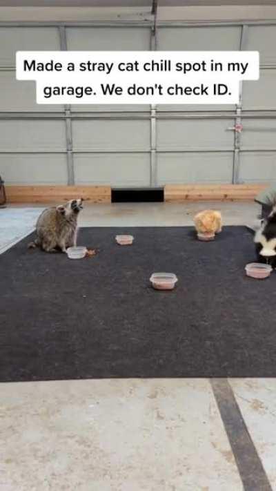 Tkitty, Tstinky, Tpanda...