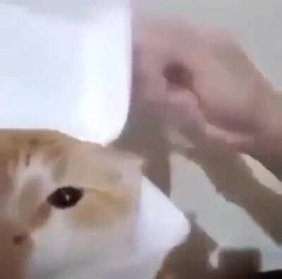 Not sure if it belongs here