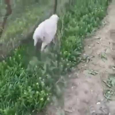 Me lowering my exposure to tech after the NASDAQ decline