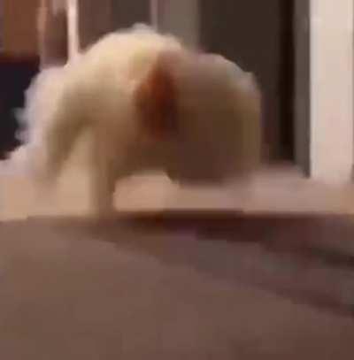 Posted this somewhere else but someone linked me here so here I am