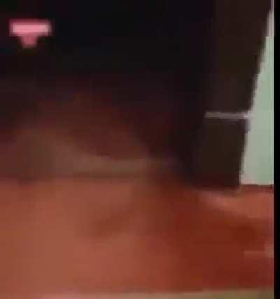 Hocam niye vuruyosunuz ya 