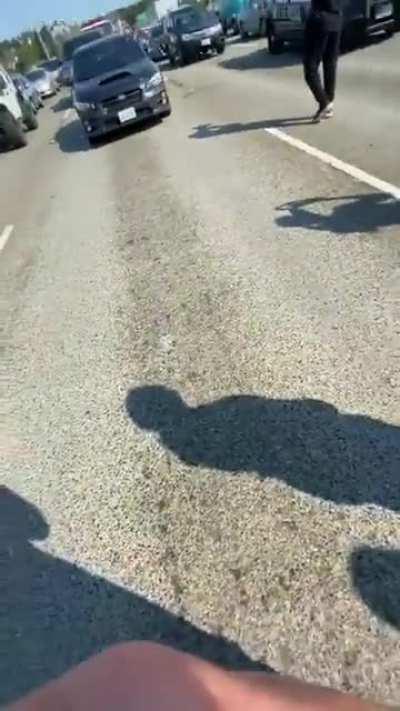 15 minutes of the protest on the freeway from protesting to arrest