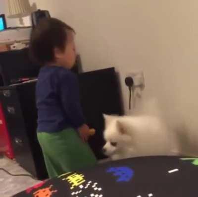 to hug a dog