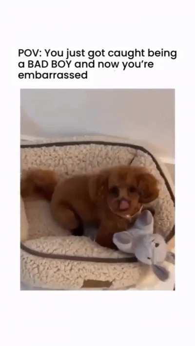 Caught being naughty