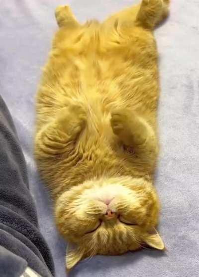 Donny love get relax