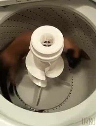 He'll get it eventually