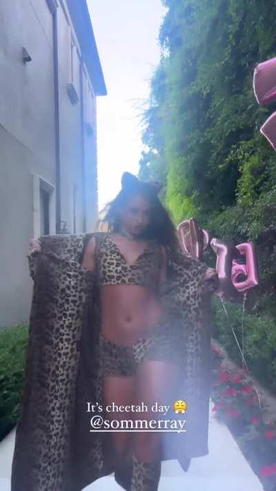 Sommer | it's cheetah day | IG Story | September 2023