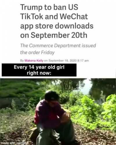 Haha tiktok going bye-bye