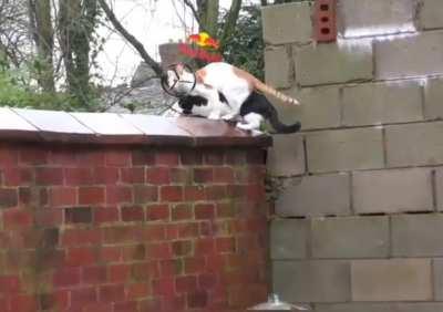 Monza 2021 in a nutshell