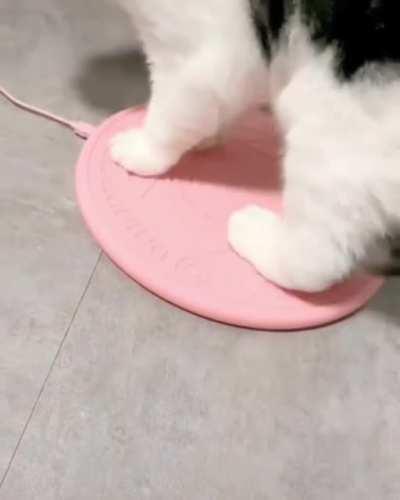 Becoming the Chosen One