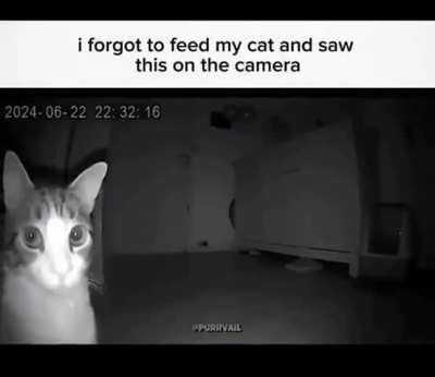 Five Nights at Wunky's