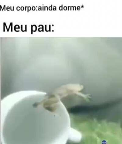 A famosa gloriosa da madruga