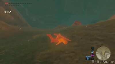 Special Shield Surfing Spectacle