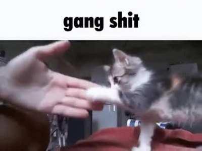 I ate 3 pancakes 👍