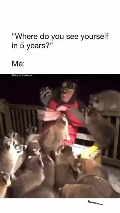 Nah now i want raccoon 🐦