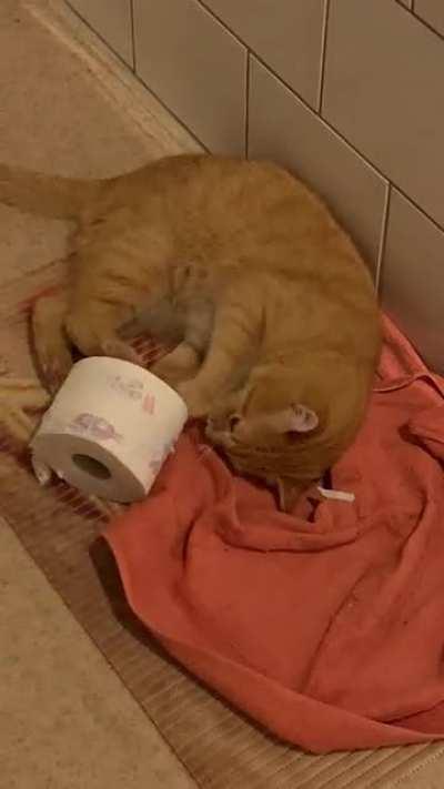 He really hates (scented) toilet paper