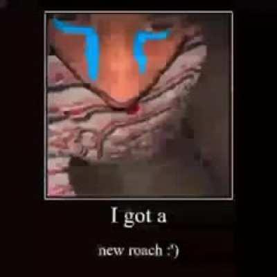 How a newbie, he has sniffed too much industrial adhesives