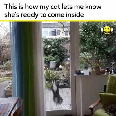 I can't stop laughing at this