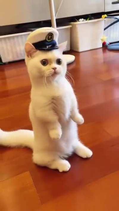 working hard or hardly working