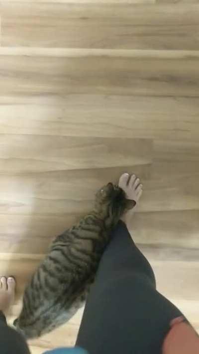 Gotta watch where you step with this one.