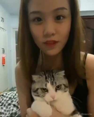 Just your regular hooman