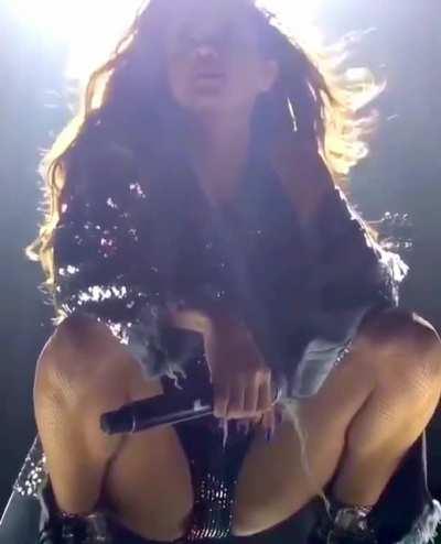 Her Majesty’s Royal crotch..