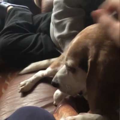 Don't you love learning family lore