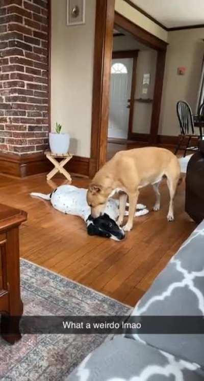 When the ear tastes that good