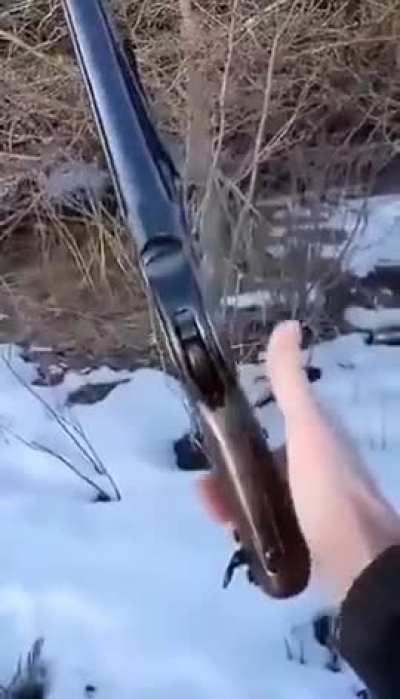 I do not know the reference, only that it is one.