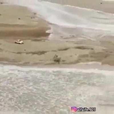 Drive it like you stole it