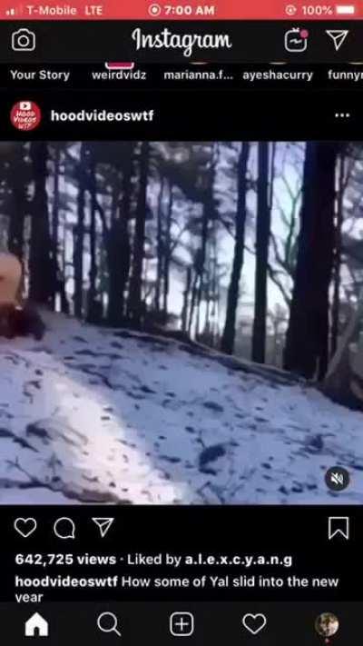 Cursed_sled