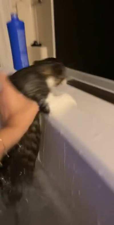 Well.. that happened.