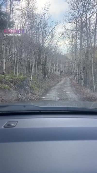 I finally made it back to the mountains!